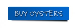 BUY OYSTERS